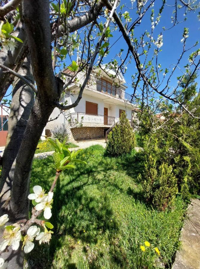 Prespa'S Balcony Guesthouse Dolna Gorica Екстер'єр фото