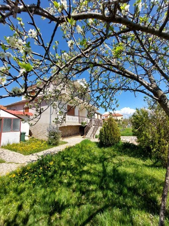 Prespa'S Balcony Guesthouse Dolna Gorica Екстер'єр фото