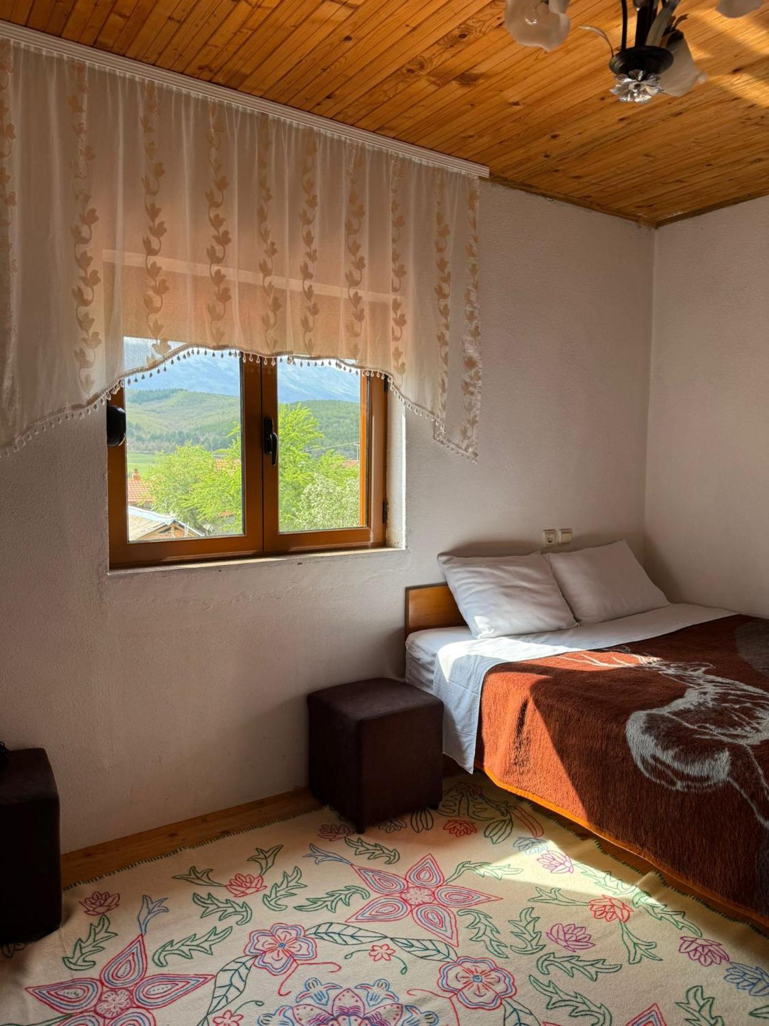 Prespa'S Balcony Guesthouse Dolna Gorica Екстер'єр фото